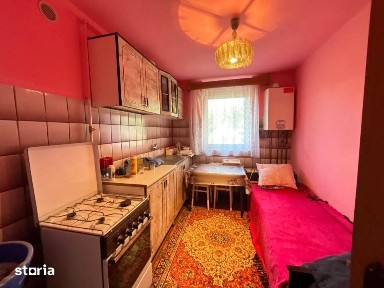 Casa D+P+1 cu o suprafata desfasurata de 240 mp, Finteusu Mic