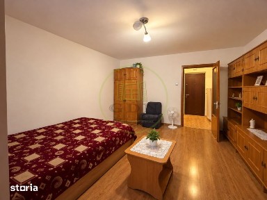 Garsoniera, 30.7 mp, cartier Brazda lui Novac, zona CAS