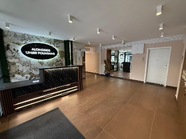 Apartament 2 camere cu curte si gradina Unirii - Palatul Parlamentului
