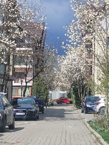 PROPRIETAR- Vând ap. două camere+ LOC PARCARE, Complex Gradina cu Magnolii-Bacau