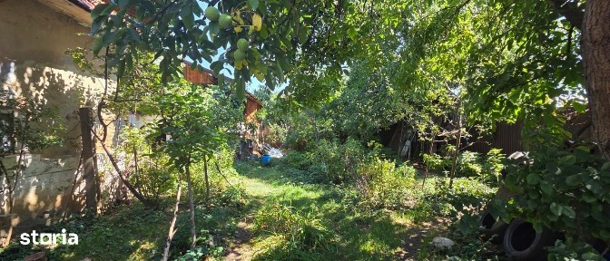 Casa 2 camere, Zarnesti, beci+parter, anexa, 95 mp, teren 569 mp