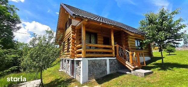 Cabane cu 7 camere de vanzare in Albac