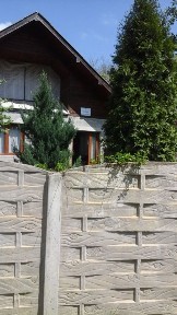 Botosani, Paltinis
