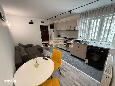 Apartament tip studio de închiriat - zona Parcul Tineretului (PROFI)