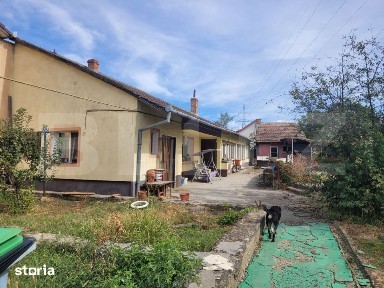 Ronat, Timisoara, Timis