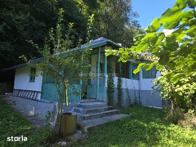 Vanzare Casuta pitoreasca la padure, teren 3159mp, in Gogeasca