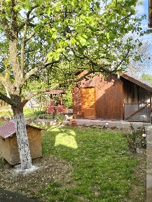 Hunedoara, Branisca