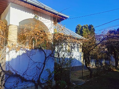 Casa Vanzare Valea Mare Pravat, Arges