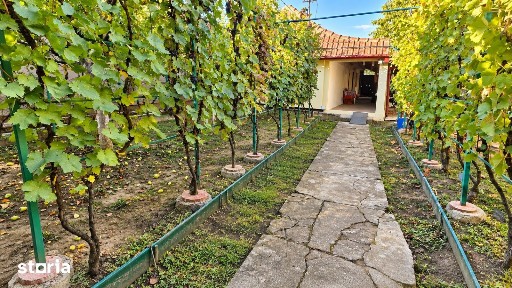 CASĂ INDIVIDUALĂ cu teren 430 MP, Zona Plopi