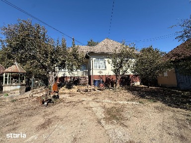 Sat Ocolis - Gospodarie ( Casa + 2 anexe) si 48,32 ari de teren