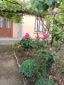 Casa bătrânească locuibila la 10 km de Tecuci cu 450 m2 teren.