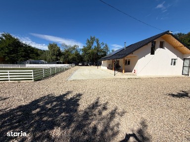 VANZARE Casa-vila cu teren generos si padure, Surani-Prahova