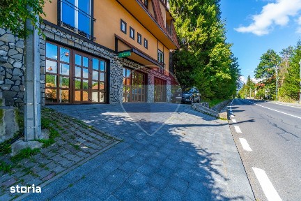 Vilă 10 cam în Sinaia zona Peleș | Randament estimat 2 cifre