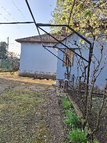 Olt, Corabia