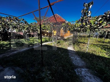 Doua casa de vanzare, teren intravilan 1773 mp, zona Stolojani