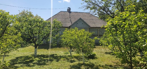 Botosani, Dersca