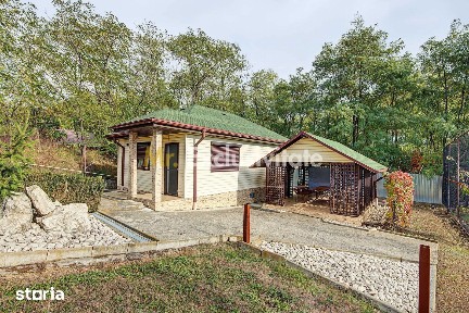 Casa individuala + teren 2.014 mp + livada Mioveni -Colibasi