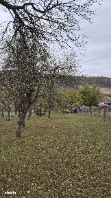 Casa vacanta Mesendorf, langa Viscri