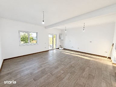 Mosnita Veche, Mosnita Noua, Timis
