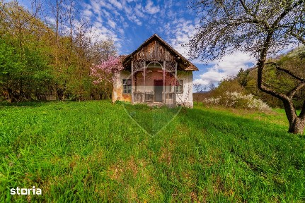 Casă de vacanta intr-o locatie de vis de vanzare in Carand,Romania
