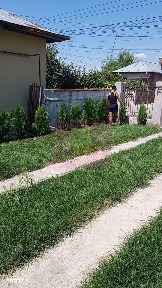 Vilă individuală cu arhitectură elegantă și grădină generoasă | 5 came