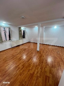 Subcentral, Satu Mare
