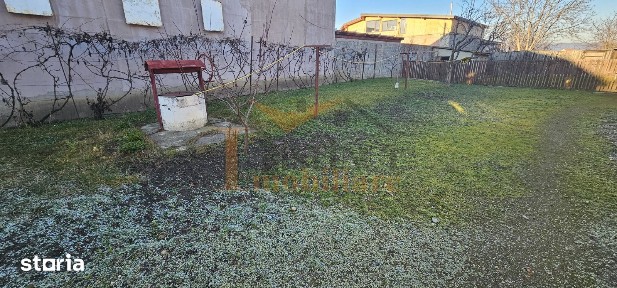 Bod, Brasov