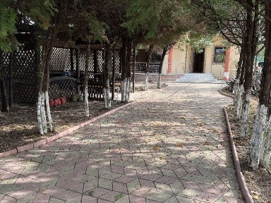 Vila de inchiriat colentina andronache