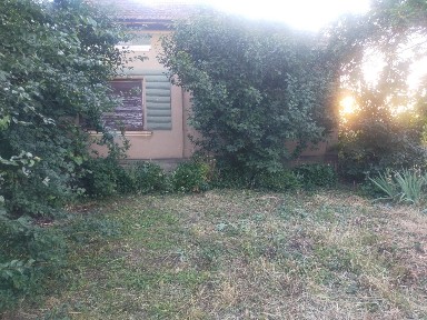 Teren de vanzare Botiz Satu Mare RO