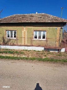 Andrid, Satu Mare