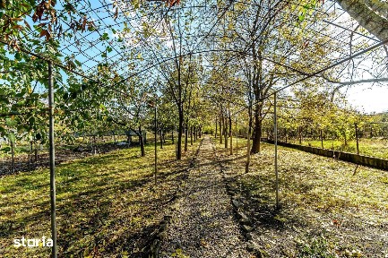 Vilă 5 camere, teren 1.500 mp cu livadă, garaj dublu