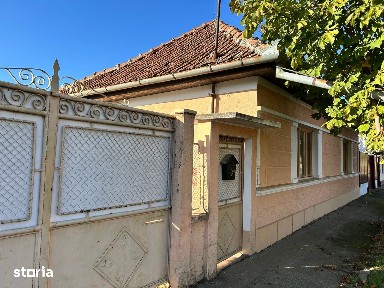 Salonta, Bihor